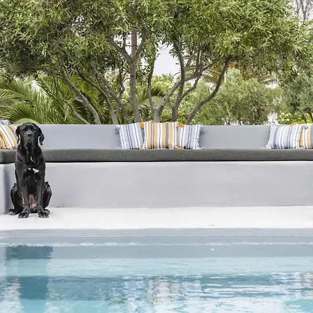 Valente In Mykonos With Two Pools!